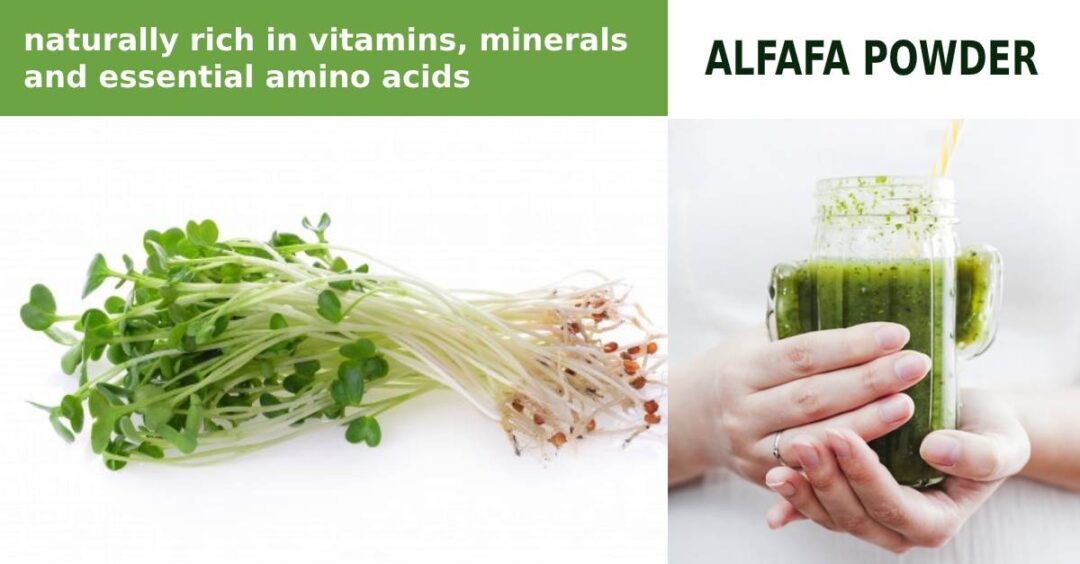 ALFALFA POWDER TransChem