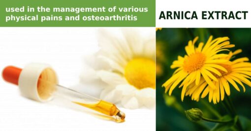 Arnica Extract