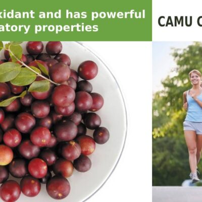 Camu camu powder