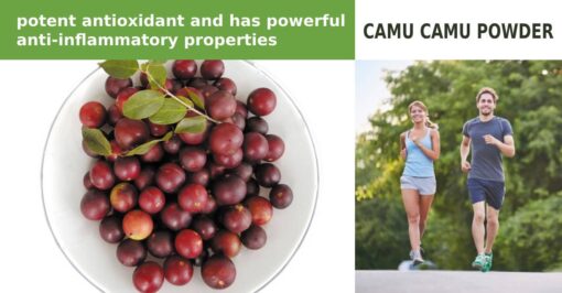 Camu camu powder