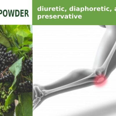 Elderberry Powder | Transchem