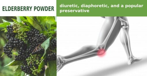 Elderberry Powder | Transchem