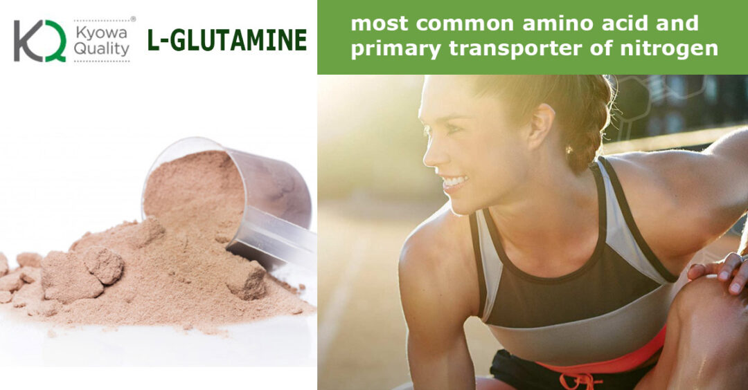 LGLUTAMINE TransChem