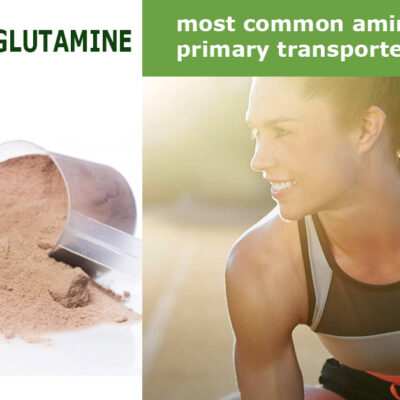 L-Glutamine