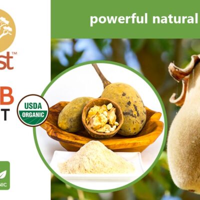 baobest baobab fruit powder