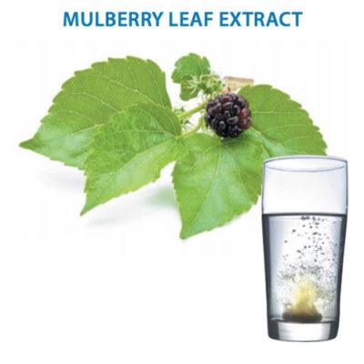 MulCare - mulberry leaf extract