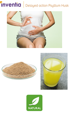 Delayed Action Psyllium Husk