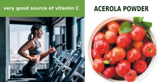 Acerola Fruit Powder Extract