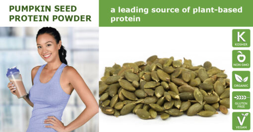 Pumpkin Seed Protein Powder