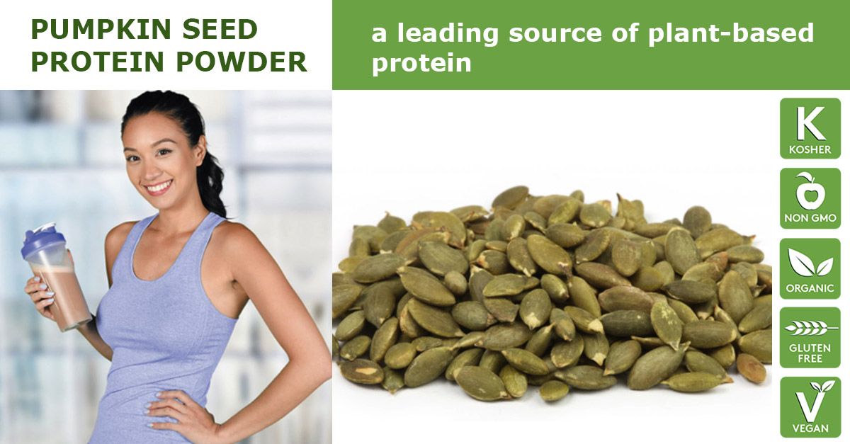 Pumpkin seed protein powder supplier
