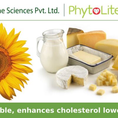 PhytoLite is an esterified form of Phytosterols which are completely soluble in oils and fats and stable at elevated temperature conditions.