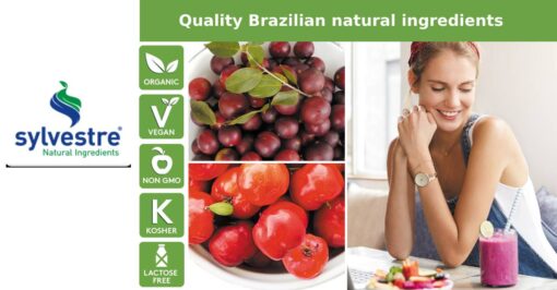 sylvestre quality Brazilian natural ingredients