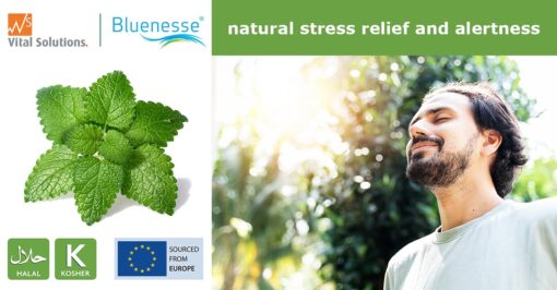 Bluenese -for natiral stress relief and alertness