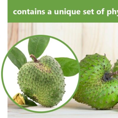 Soursop fruit (Graviola)