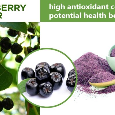 maqui berry powder