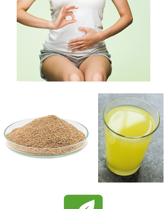 Delayed Action Psyllium Husk