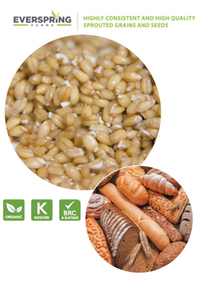 Sprouted Grains and Seeds
