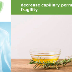 ROSEMARY EXTRACT 4-1